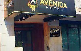 Avenida Hotel